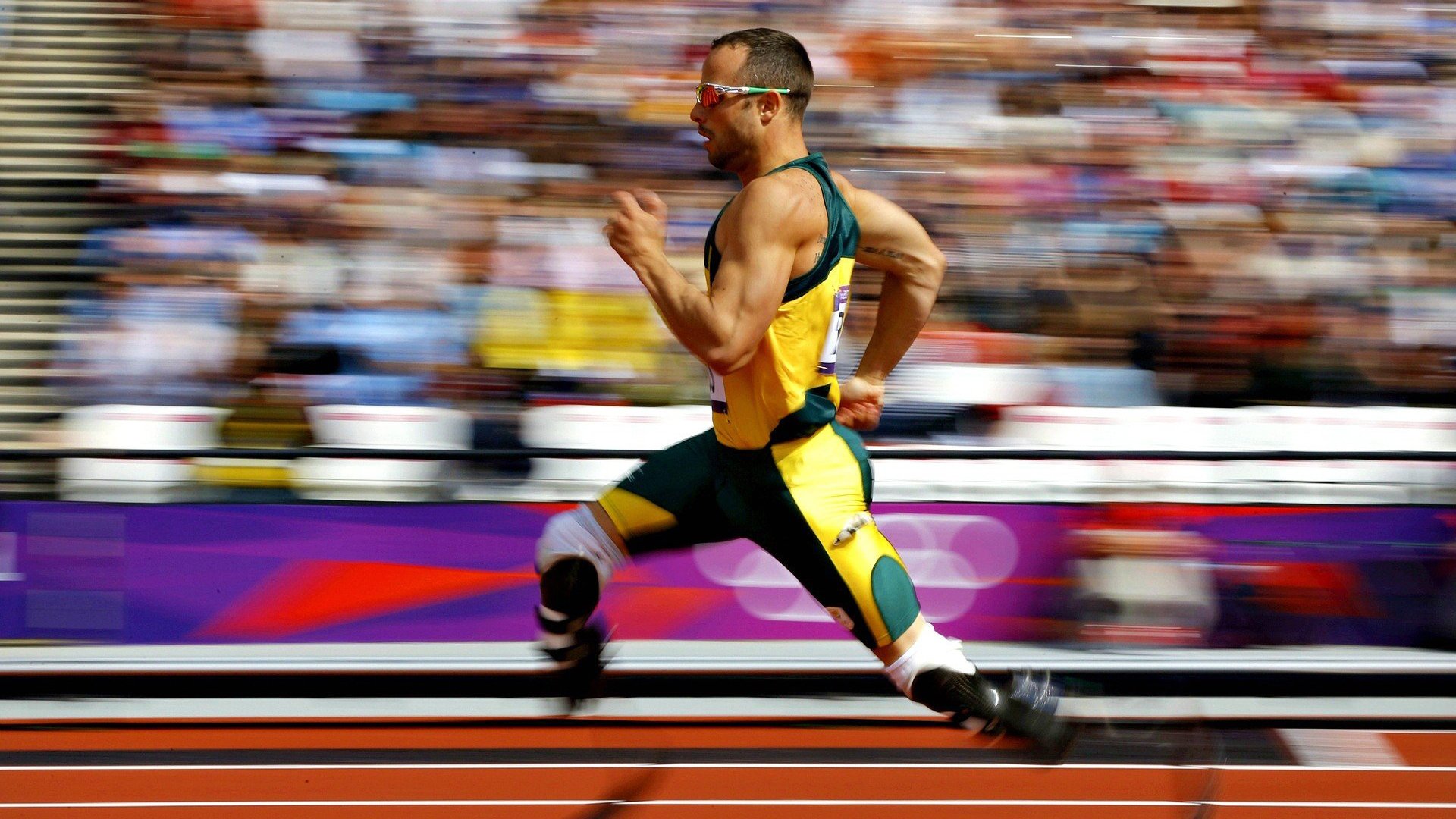 体育新闻中心速度与激情回顾